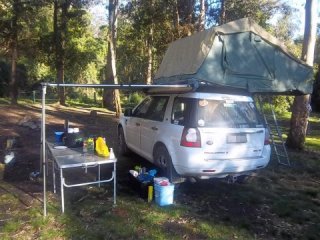 Australien (Barrington Tops)